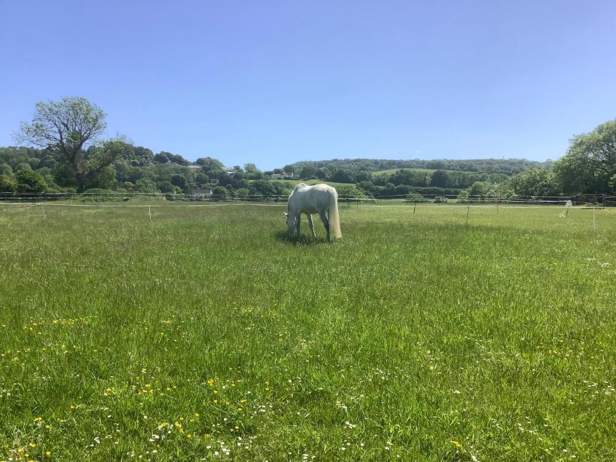 Vila The Forge Winscombe Exteriér fotografie
